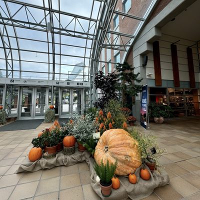 Jardin botanique de Montréal by null