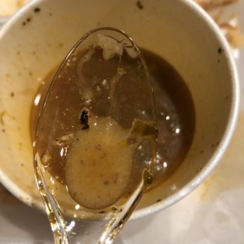 El Bajio - Fly in soup - Mexican Near Me - Fresno, California El Bajio - Fly in soup - Mexican Near Me - Fresno, California