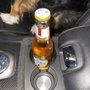 Photo of Twisted T Liquor & Gifts