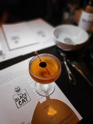 The Black Cat by null The Black Cat by null