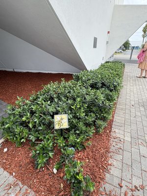 Pompano Beach Cultural Center by null