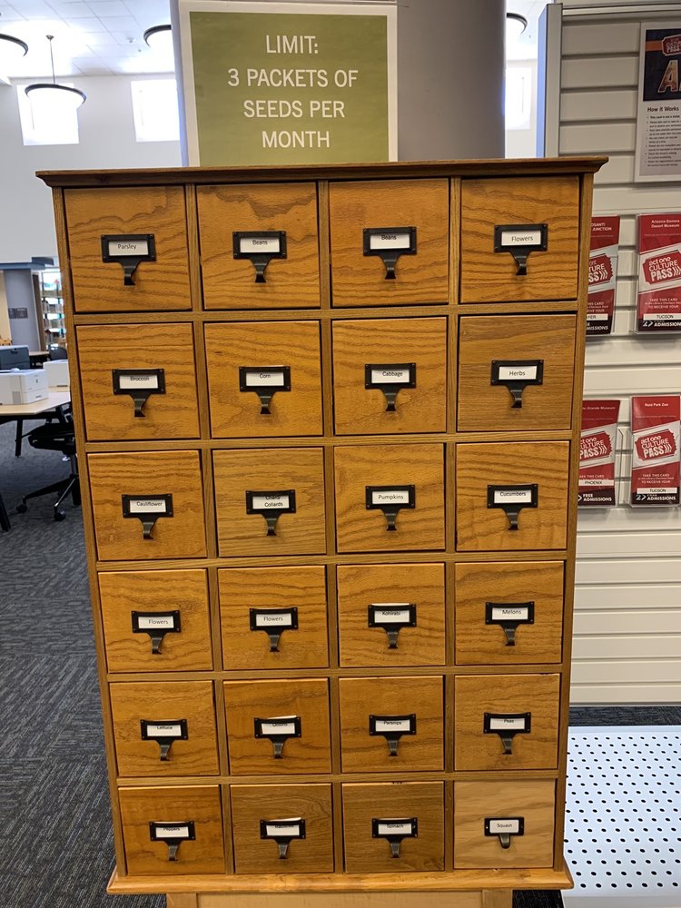 FOUNTAIN HILLS LIBRARY in 12901 N La Montana Dr, Fountain Hills