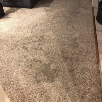 Tri-Valley Carpet Care - Before large stain - Carpet Cleaning Near Me - Danville, California Tri-Valley Carpet Care - Before large stain - Carpet Cleaning Near Me - Danville, California