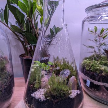 Terrarium - Terrarium. - Nurseries & Gardening Near Me - Portland, Maine