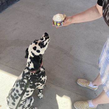 Dutch Bros Coffee - Pup-cups with treats are the best! - Juice Bars & Smoothies Near Me - San Antonio, Texas Dutch Bros Coffee - Pup-cups with treats are the best! - Juice Bars & Smoothies Near Me - San Antonio, Texas