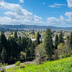 Skinner's Butte Park - The Summit of Skinner Butte park