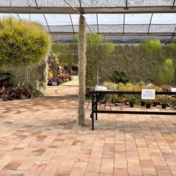 Airplant Alchemy - Outdoor event space in the works