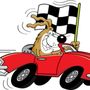 Photo of Speedway Animal House