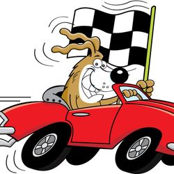 Speedway Animal House - All your pet store needs, without the pet store prices.