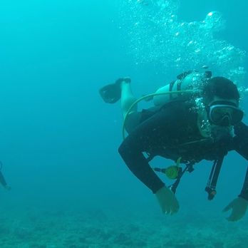 Try Scuba Diving - Honolulu - Scuba Diving in the open sea - Scuba Diving Near Me - Honolulu, Hawaii Try Scuba Diving - Honolulu - Scuba Diving in the open sea - Scuba Diving Near Me - Honolulu, Hawaii