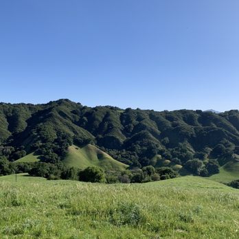 Las Trampas Regional Wilderness - Parks Near Me - San Ramon, California Las Trampas Regional Wilderness - Parks Near Me - San Ramon, California