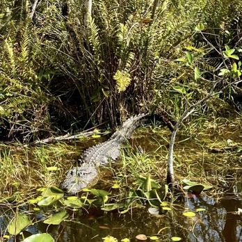 Everglades National Park - Parks Near Me - Homestead, Florida Everglades National Park - Parks Near Me - Homestead, Florida