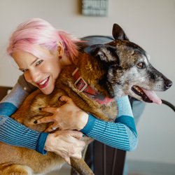 Sunset Animal Clinic - Old dogs love hugs!