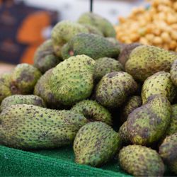 International Farmer’s Market