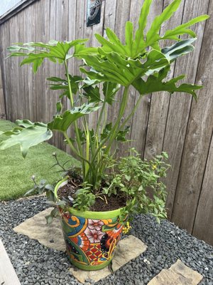 Artesanias Mexicanas