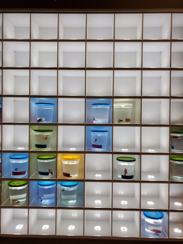 PETSMART Updated September 2024 11 Photos & 27 Reviews 1209751