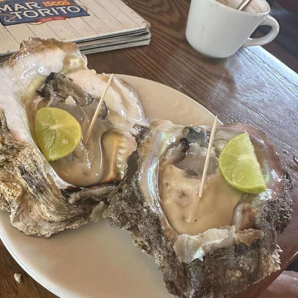 Mariscos el Torito - Big oyster. Wanted to try clam but not available. It's ok but not used to eat room temperature oyster. Would skip. - Seafood Near Me - Cabo San Lucas, BCS Mariscos el Torito - Big oyster. Wanted to try clam but not available. It's ok but not used to eat room temperature oyster. Would skip. - Seafood Near Me - Cabo San Lucas, BCS