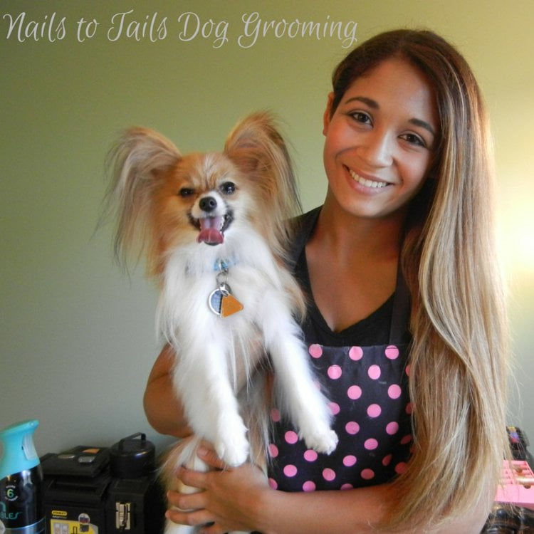 NAILS TO TAILS DOG GROOMING Updated August 2024 12 Photos 114