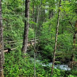 Falls Creek Falls