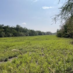 Resaca De La Palma State Park