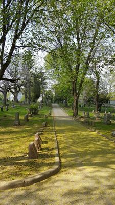 Forest Hill Cemetery by null