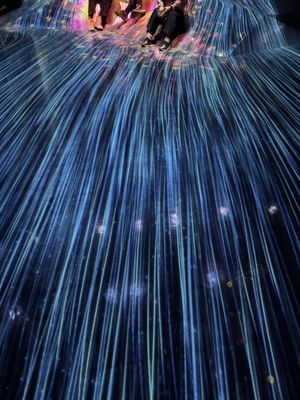 teamLab Borderless: MORI Building DIGITAL ART MUSEUM by null