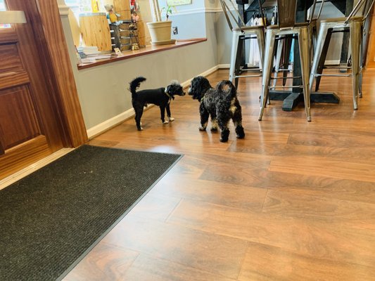 Uncorked in Mayberry Wine & Craft Beer by null