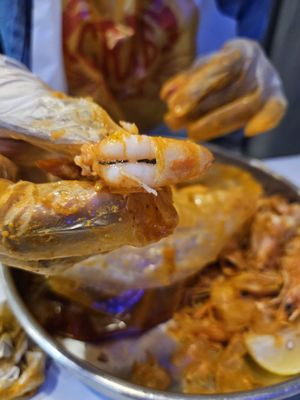 Crab N Spice by null