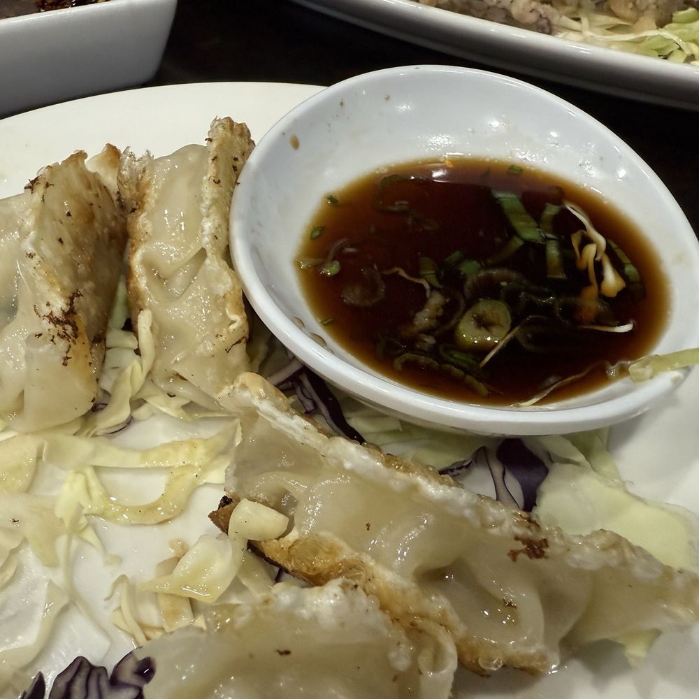 Wild Elephant - Potstickers cooked perfectly, dipping sauce perfect, not too salty - Asian Fusion Near Me - Irondequoit, New York Wild Elephant - Potstickers cooked perfectly, dipping sauce perfect, not too salty - Asian Fusion Near Me - Irondequoit, New York