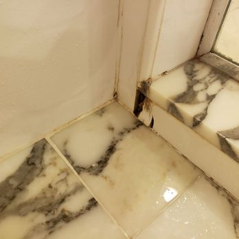 Flamingo Las Vegas - Cracked! - Hotels Near Me - Las Vegas, Nevada Flamingo Las Vegas - Cracked! - Hotels Near Me - Las Vegas, Nevada