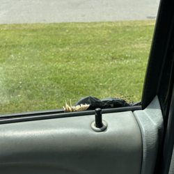 Appalachian Tire