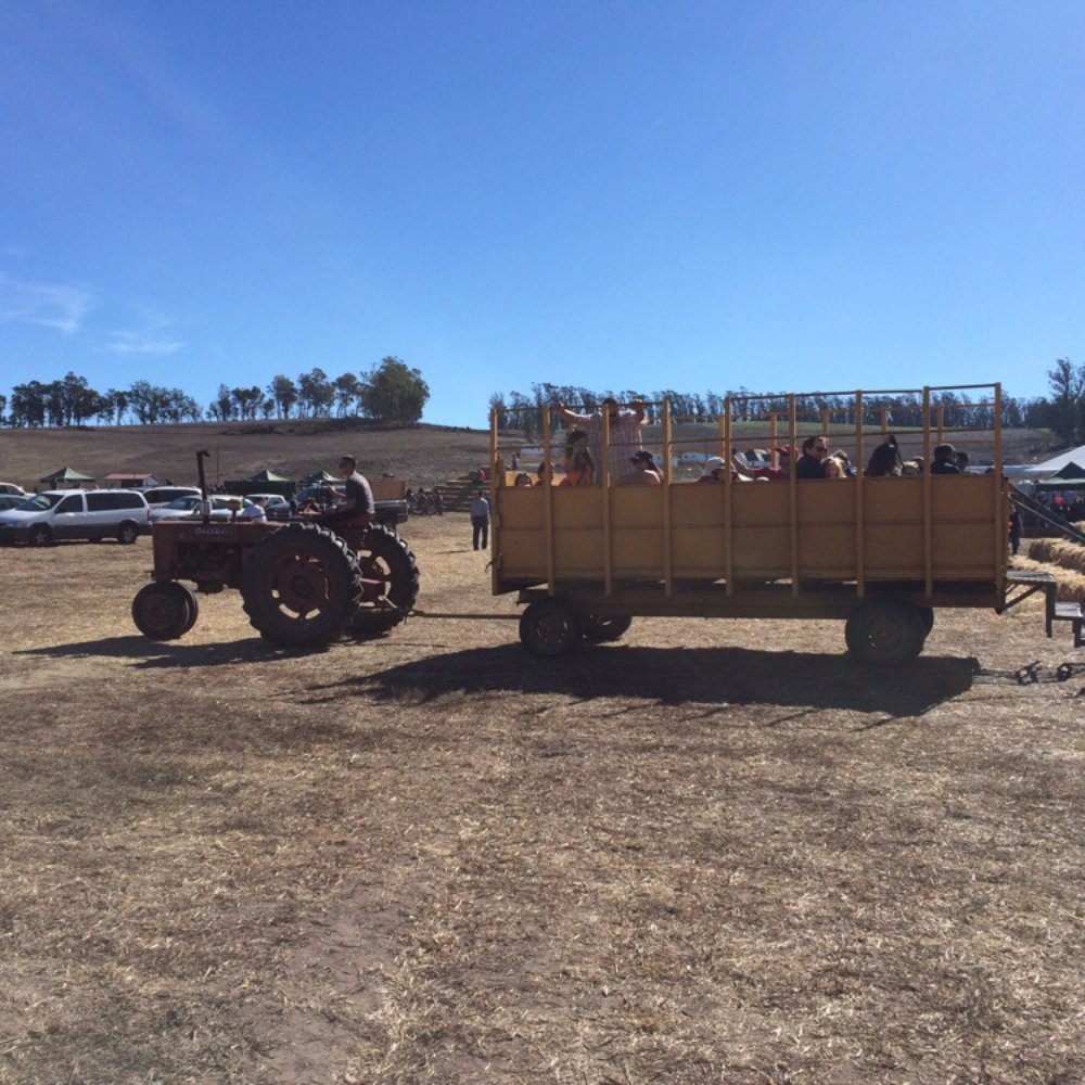 The Great Peter Pumpkin Patch - Hay ride on a tractor - Pumpkin Patches Near Me - Petaluma, California The Great Peter Pumpkin Patch - Hay ride on a tractor - Pumpkin Patches Near Me - Petaluma, California
