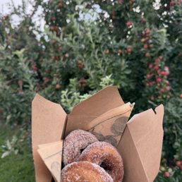 Cider donuts Cider donuts