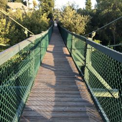 Swinging Bridge - The bridge