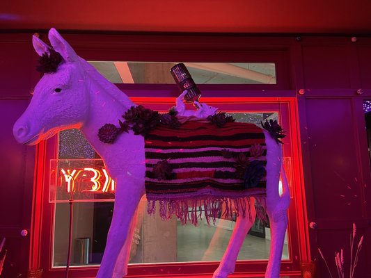 Ghost Donkey - Denver by null