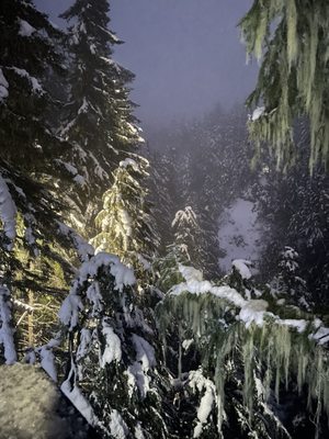 Ziptrek Ecotours by null