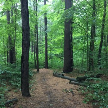 Shades State Park - Shades State Park - Parks Near Me - Waveland, Indiana Shades State Park - Shades State Park - Parks Near Me - Waveland, Indiana
