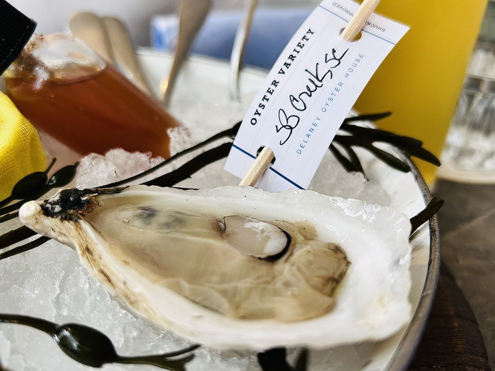 Social spots from Delaney Oyster House