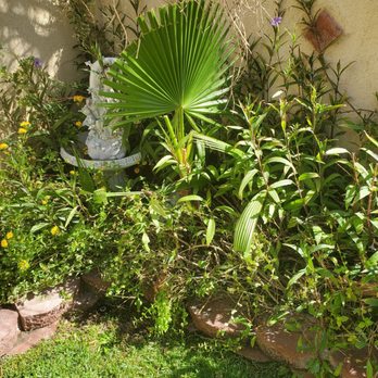 Sagos Landscape Tree Service - Landscaping Near Me - North Las Vegas, Nevada Sagos Landscape Tree Service - Landscaping Near Me - North Las Vegas, Nevada
