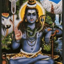 Shiva Indian Restaurant
