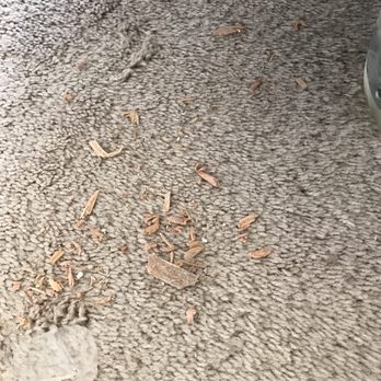 Repipe Specialists -  Bay Area - Plumbing Near Me