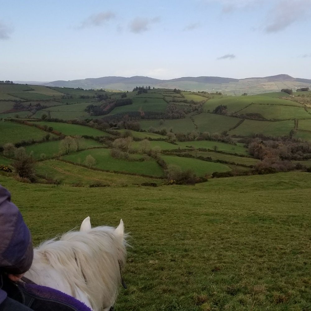Tipperary Mountain Trekking Centre - Guest Houses Near Me - Thurles, TA