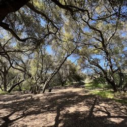 Lake Poway Trail
