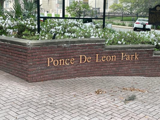 Ponce de Leon by null