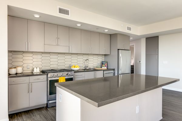 1717 Webster by null