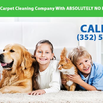 Kwik Dry - Carpet Cleaning Near Me - Belleview, Florida Kwik Dry - Carpet Cleaning Near Me - Belleview, Florida