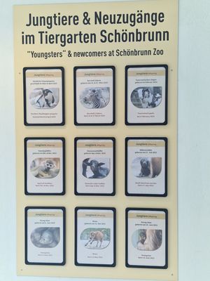 Schönbrunn Zoo by null