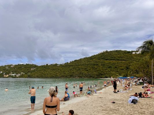 Magens Bay Beach by null