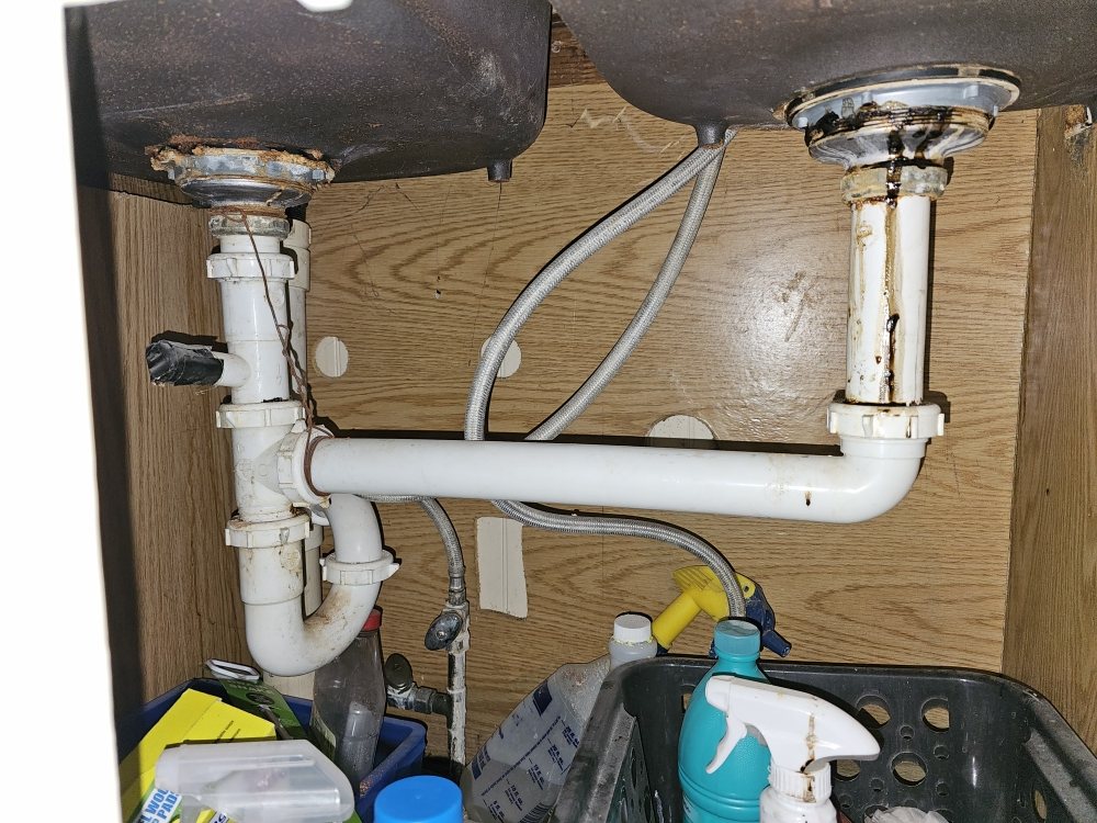 Slide of Alpha Menders