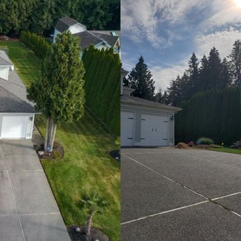 Able Tree Service - Before/ after - Tree Services Near Me - Arlington, Washington